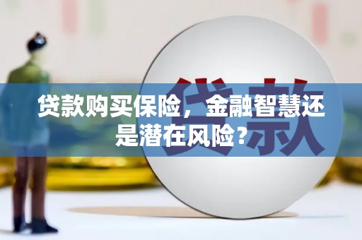 原州贷款购买保险，金融智慧还是潜在风险？