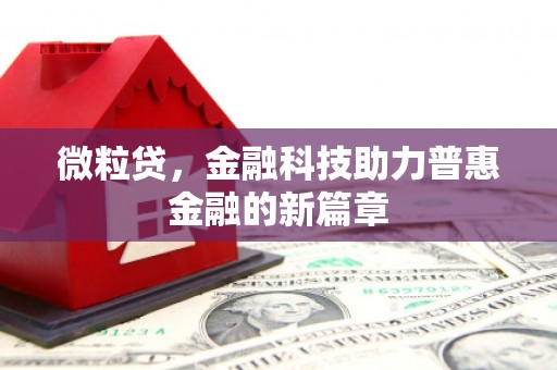 原州微粒贷，金融科技助力普惠金融的新篇章