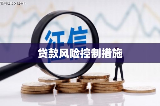 原州贷款风险控制措施