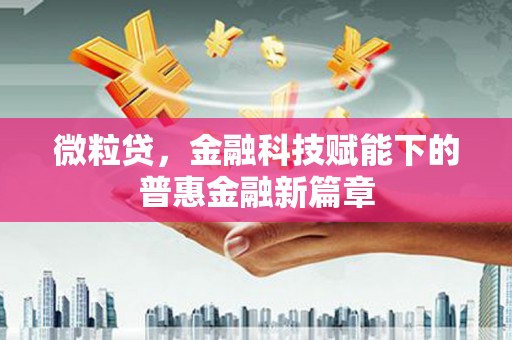 原州微粒贷，金融科技赋能下的普惠金融新篇章