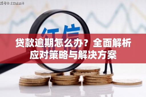 原州贷款逾期怎么办？全面解析应对策略与解决方案