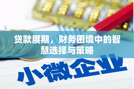 原州贷款展期，财务困境中的智慧选择与策略