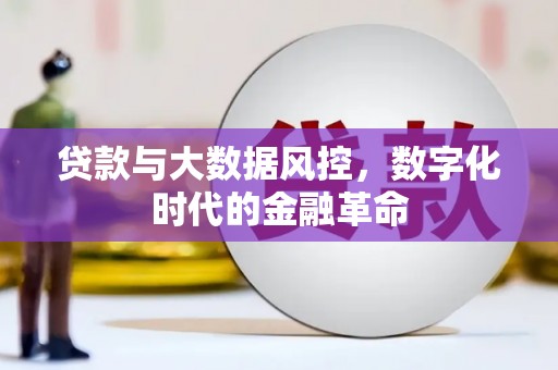 原州贷款与大数据风控，数字化时代的金融革命