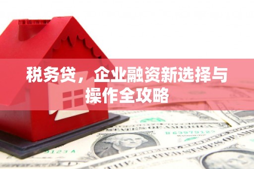 原州税务贷，企业融资新选择与操作全攻略