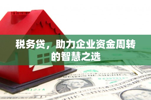 原州税务贷，助力企业资金周转的智慧之选