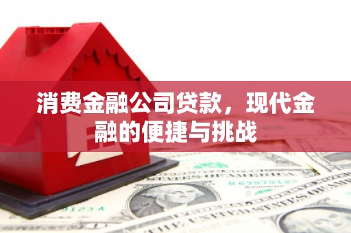 原州消费金融公司贷款，现代金融的便捷与挑战
