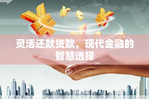 原州灵活还款贷款，现代金融的智慧选择