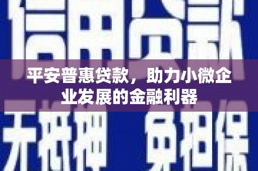 原州平安普惠贷款，助力小微企业发展的金融利器