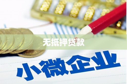 原州无抵押贷款