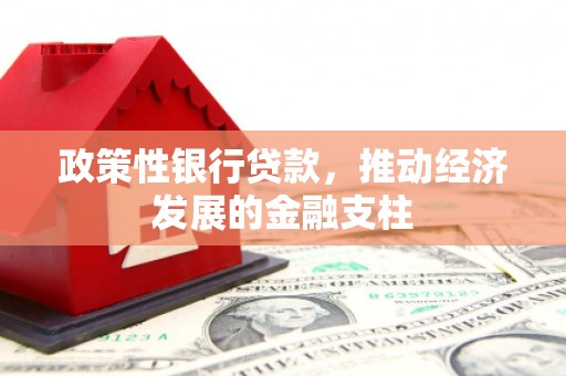 原州政策性银行贷款，推动经济发展的金融支柱