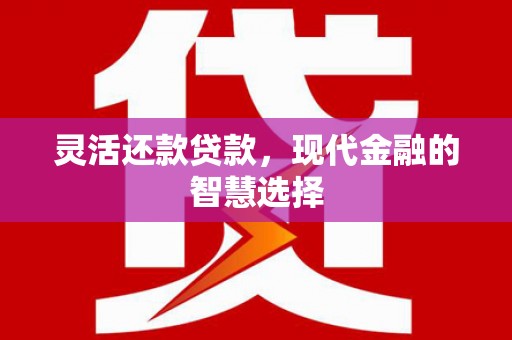 原州灵活还款贷款，现代金融的智慧选择