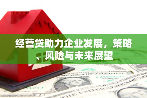 原州经营贷助力企业发展，策略、风险与未来展望