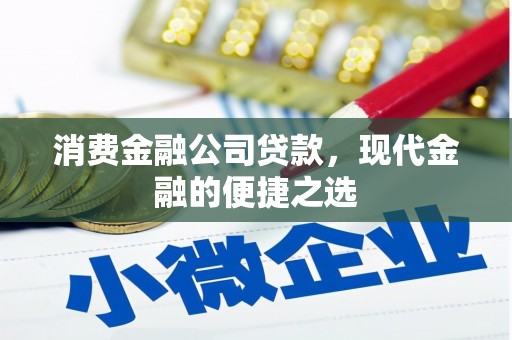 原州消费金融公司贷款，现代金融的便捷之选