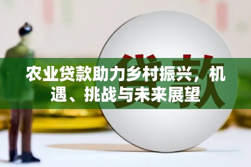 原州农业贷款助力乡村振兴，机遇、挑战与未来展望