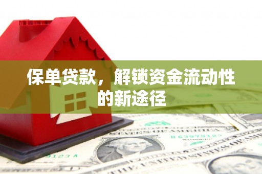 原州保单贷款，解锁资金流动性的新途径