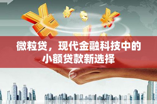 原州微粒贷，现代金融科技中的小额贷款新选择