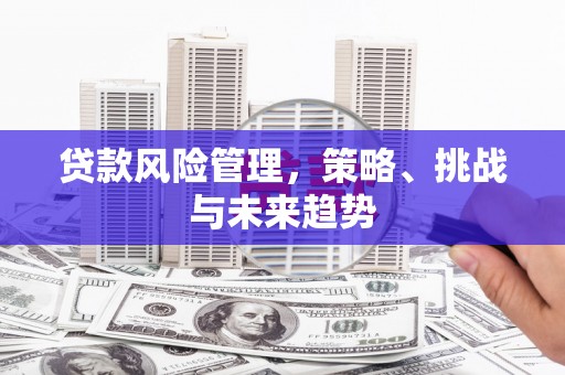 原州贷款风险管理，策略、挑战与未来趋势