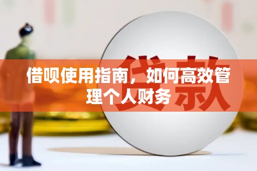 原州借呗使用指南，如何高效管理个人财务