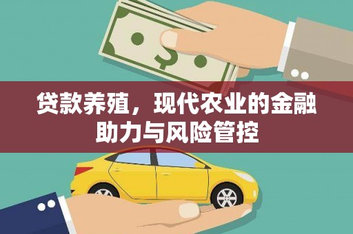 原州贷款养殖，现代农业的金融助力与风险管控