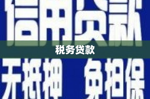 原州税务贷款