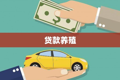 原州贷款养殖
