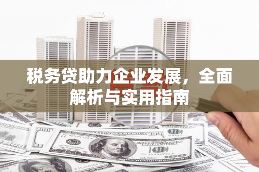 原州税务贷助力企业发展，全面解析与实用指南