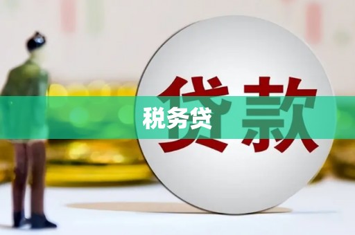 原州税务贷