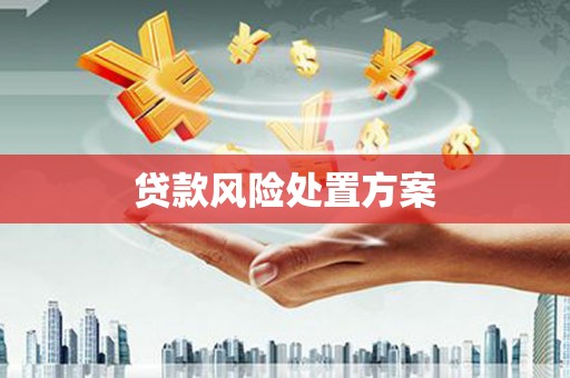 原州贷款风险处置方案