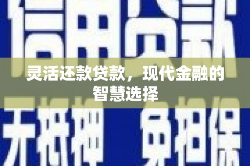 原州灵活还款贷款，现代金融的智慧选择