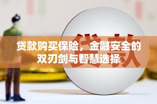 原州贷款购买保险，金融安全的双刃剑与智慧选择