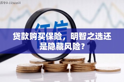 原州贷款购买保险，明智之选还是隐藏风险？