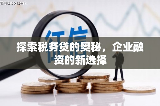 原州探索税务贷的奥秘，企业融资的新选择