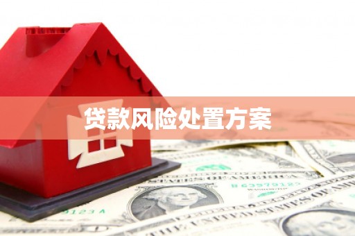 原州贷款风险处置方案