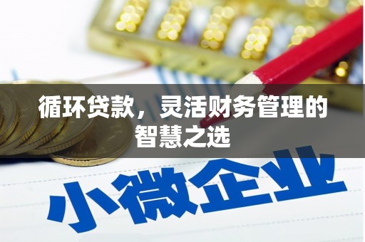 原州循环贷款，灵活财务管理的智慧之选