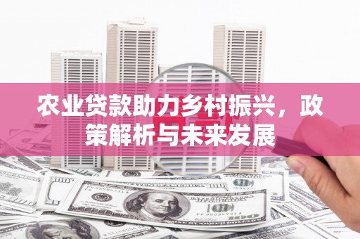 原州农业贷款助力乡村振兴，政策解析与未来发展