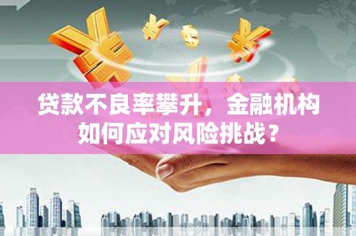 原州贷款不良率攀升，金融机构如何应对风险挑战？
