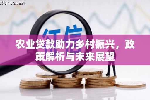 原州农业贷款助力乡村振兴，政策解析与未来展望