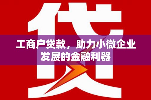 原州工商户贷款，助力小微企业发展的金融利器