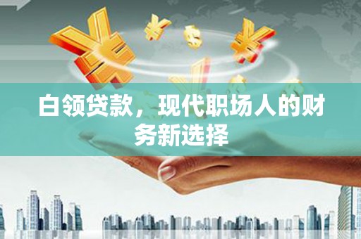 原州白领贷款，现代职场人的财务新选择