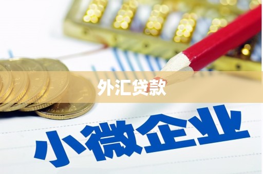 原州外汇贷款