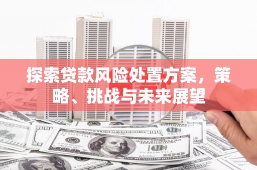 原州探索贷款风险处置方案，策略、挑战与未来展望