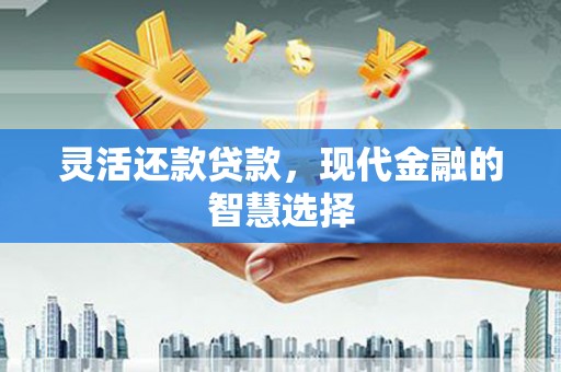 原州灵活还款贷款，现代金融的智慧选择