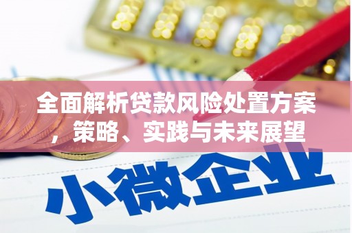原州全面解析贷款风险处置方案，策略、实践与未来展望