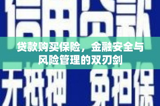 原州贷款购买保险，金融安全与风险管理的双刃剑