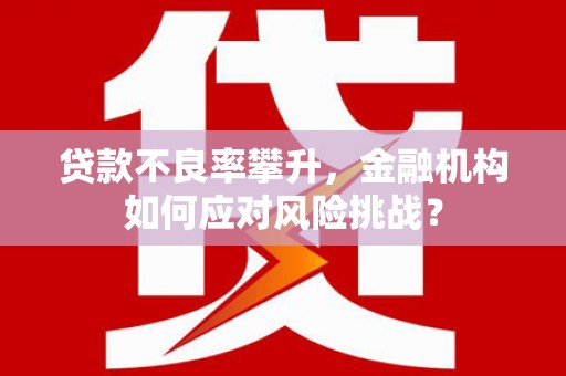 原州贷款不良率攀升，金融机构如何应对风险挑战？