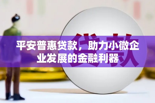 原州平安普惠贷款，助力小微企业发展的金融利器