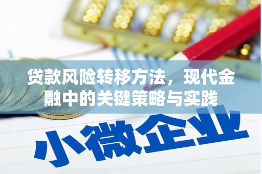 原州贷款风险转移方法，现代金融中的关键策略与实践