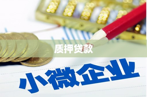 原州质押贷款