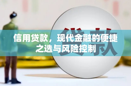 原州信用贷款，现代金融的便捷之选与风险控制