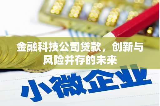 原州金融科技公司贷款，创新与风险并存的未来